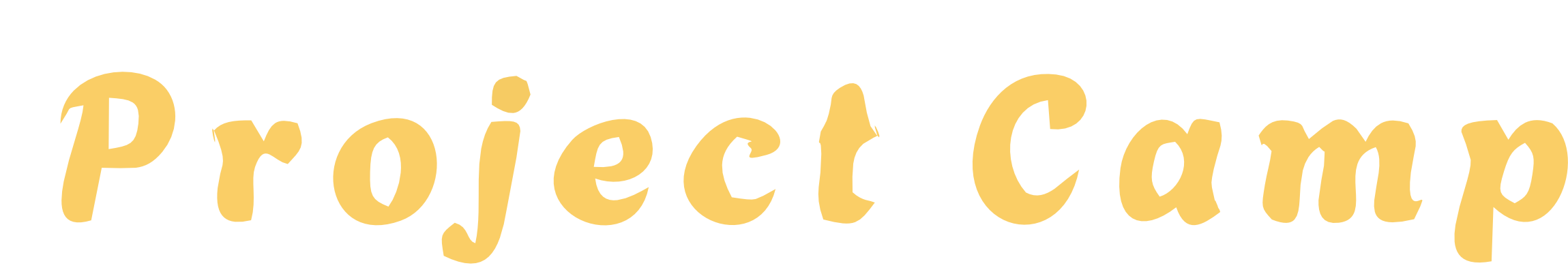 Projectcamp Logo